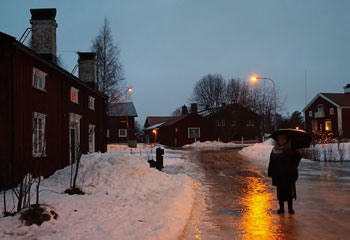 Grubbe